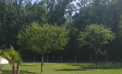 Entretien espaces verts